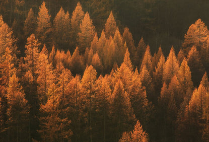 Jesenné outdoor aktivity: Nápady na výlety a zábavu v prírode