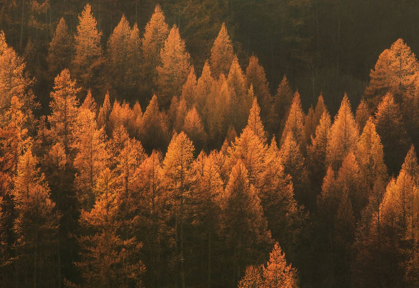 Jesenné outdoor aktivity: Nápady na výlety a zábavu v prírode